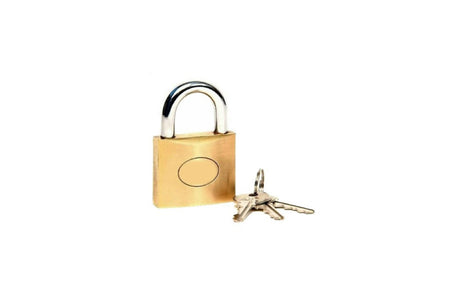 All Ride Security Padlock